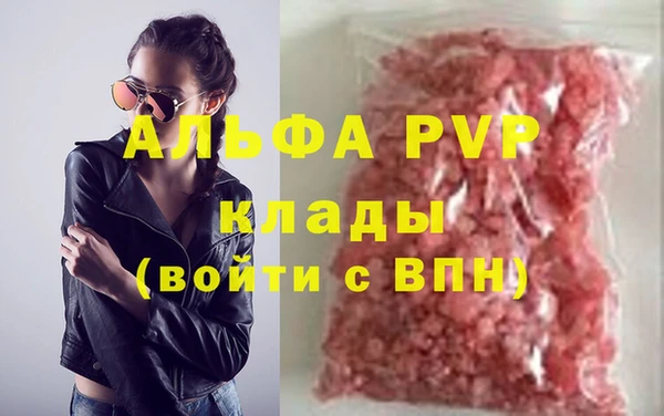 МДПВ Бородино