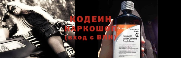 МДПВ Бородино