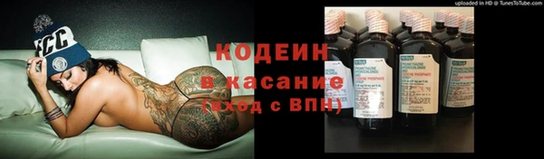 МДПВ Бородино