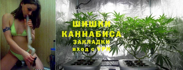МДПВ Бородино