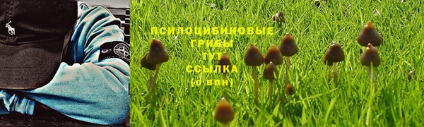 МДПВ Бородино