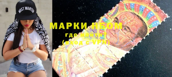 МДПВ Бородино