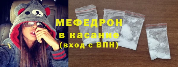МДПВ Бородино