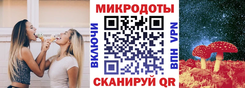 купить цена Калининград Псилоцибиновые грибы MAGIC MUSHROOMS